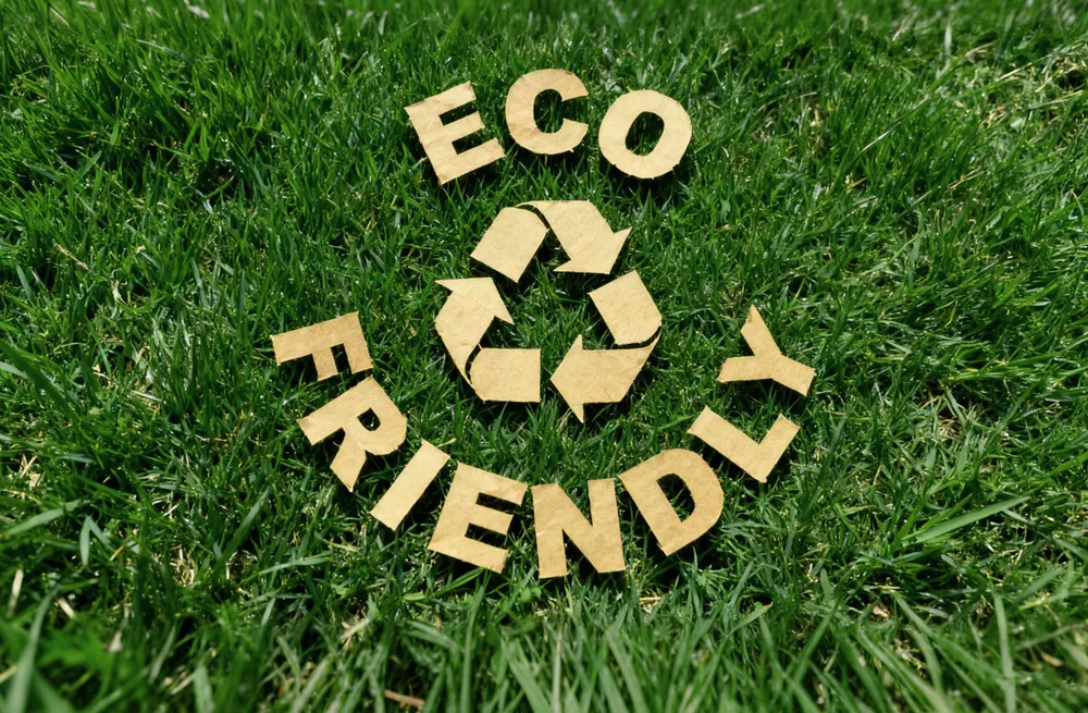 jpg100 t3 scale100 (5)