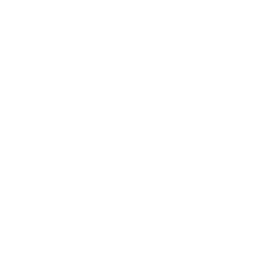 png100 t3 scale100 (1)